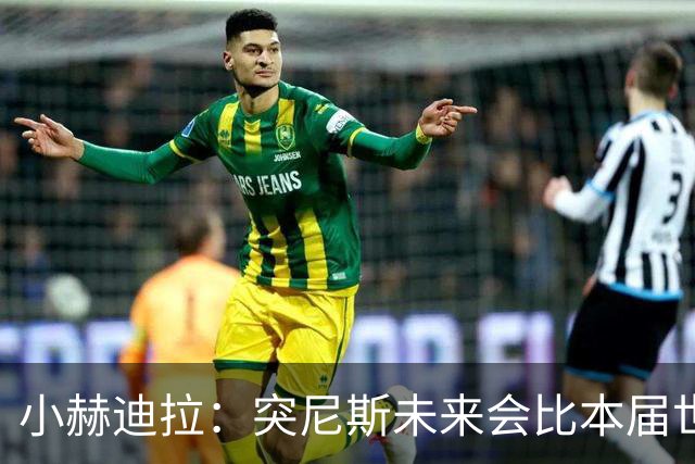 小赫迪拉：突尼斯未来会比本届世界杯更好 批评？我已经付出全力